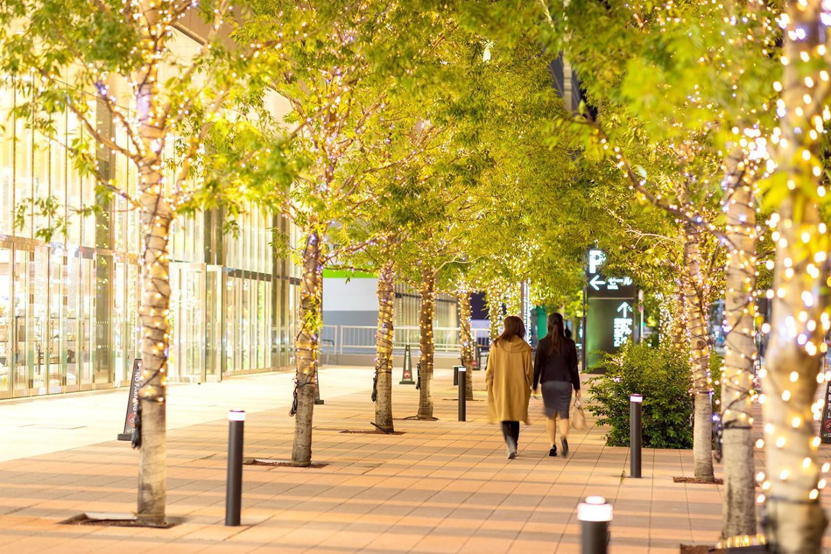 Villa Fontaine Grand Tokyo Ariake Luaran gambar